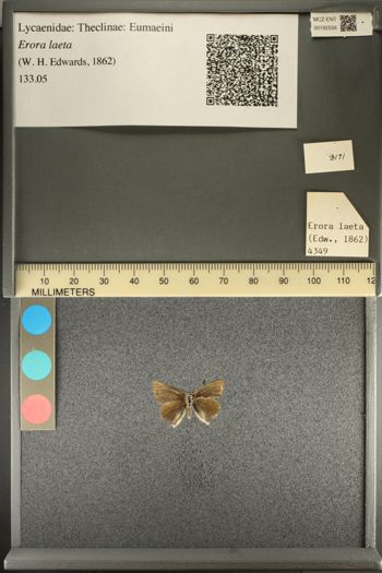 Media type: image;   Entomology 192556